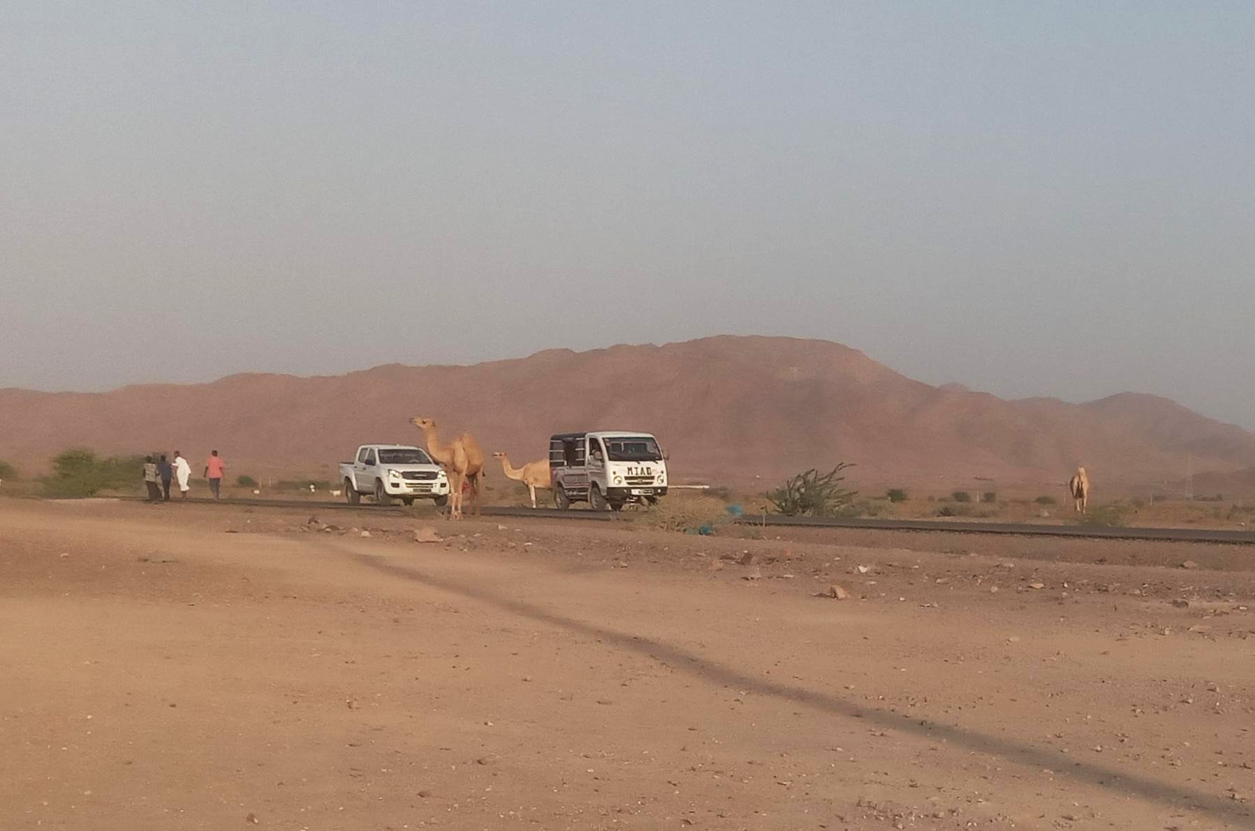 Découverte d&rsquo;Ali Sabieh