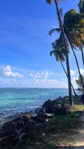 Le « Retour au Péyi » vu à travers les yeux d&rsquo;Emeline