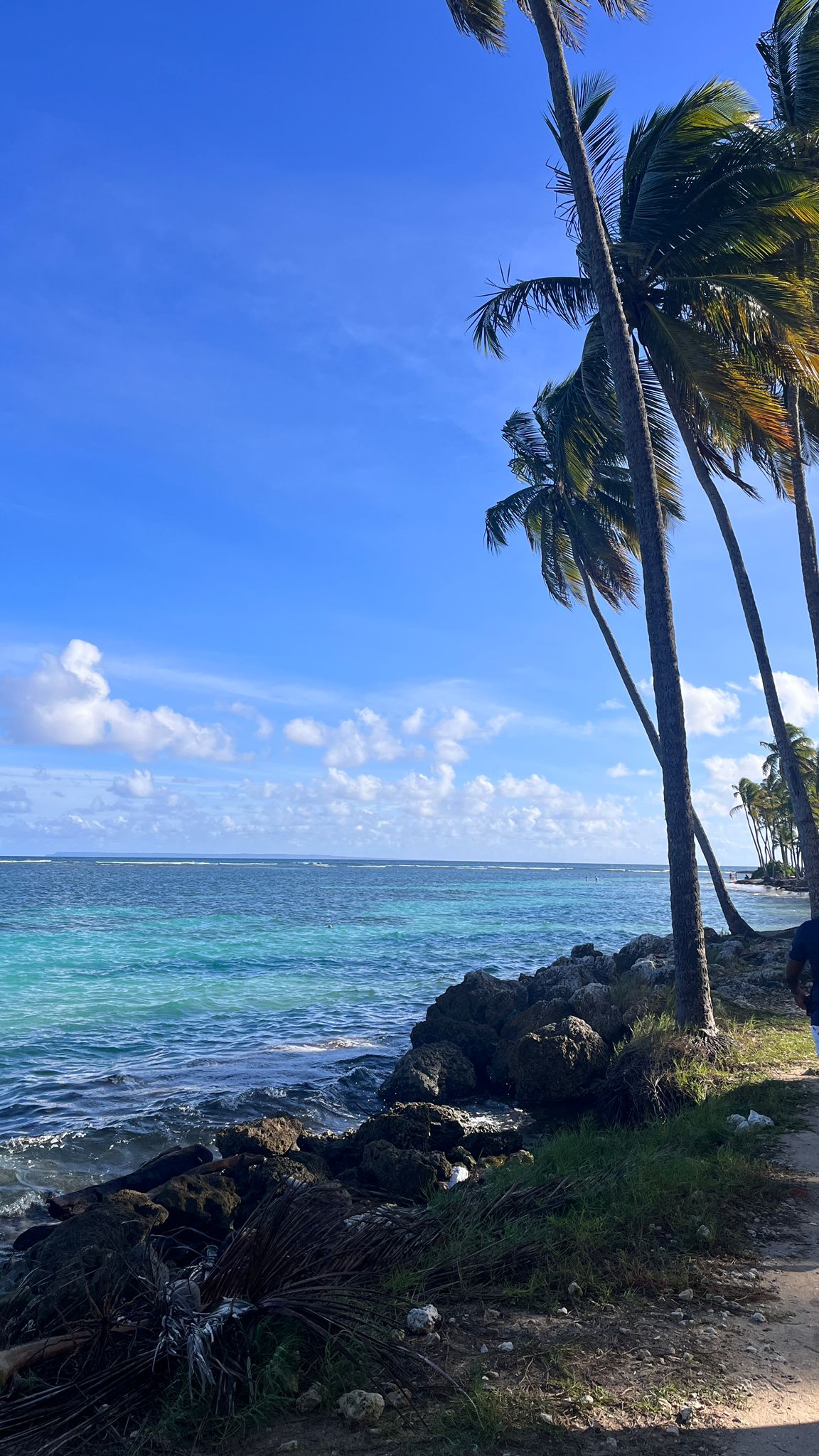 Le « Retour au Péyi » vu à travers les yeux d&rsquo;Emeline
