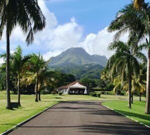 Mémoire, Pelée Montagne de Feu