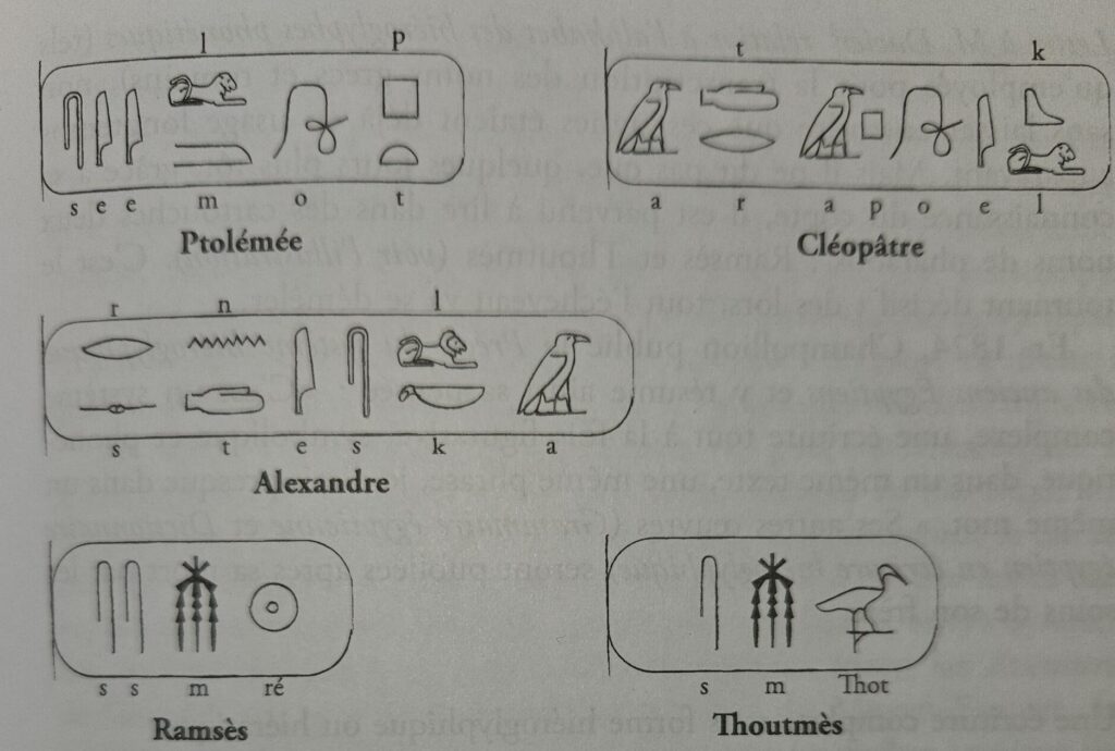 Une histoire des langues et des peuples qui la parlent. Jean Sellier