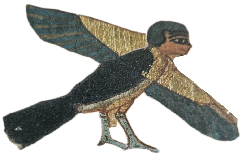 Ba, l’oiseau de l’âme,
il quitte le corps au moment de la mort.